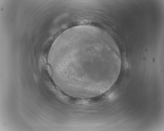 X0000051880523200507151916