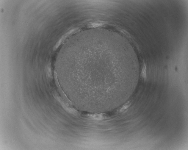 X0000051880524200507151916