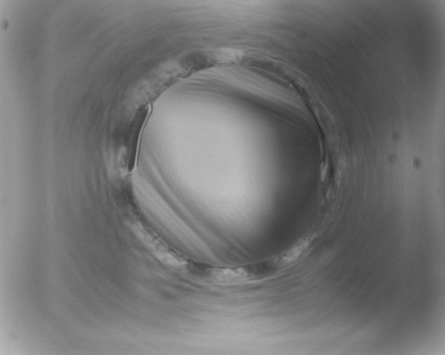 X0000051880525200507151916