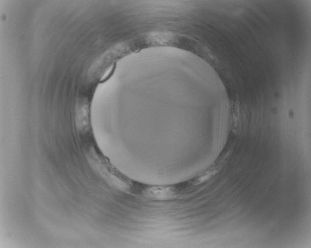 X0000051880526200507151916