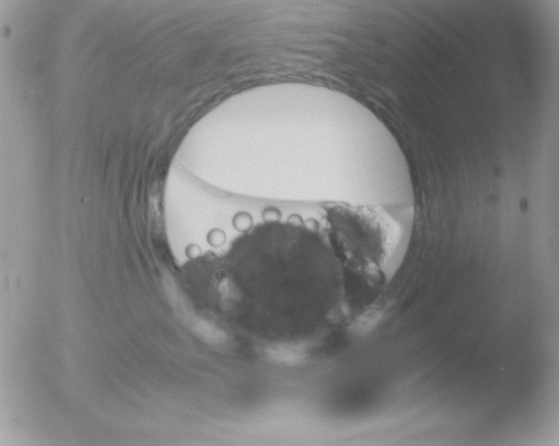 X0000051880527200507151916