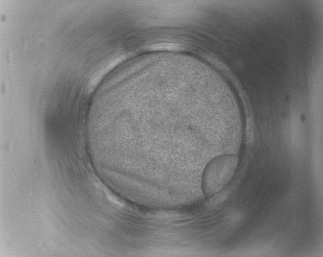 X0000051880529200507151915