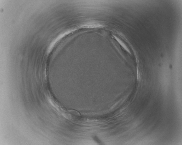 X0000051880531200507151915