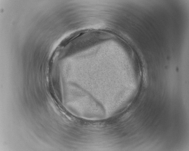 X0000051880532200507151915