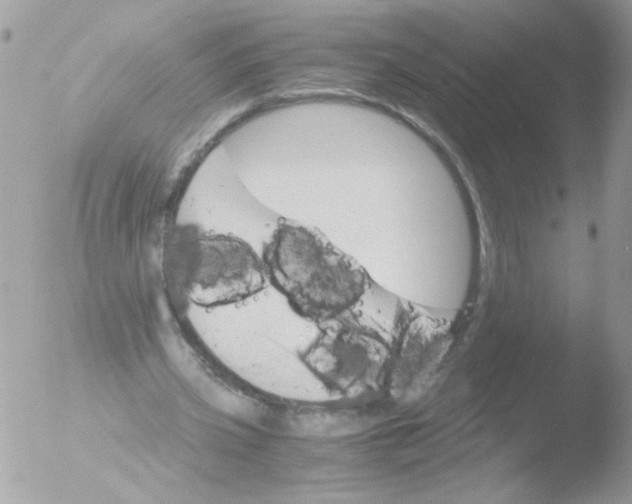 X0000051880533200507151915