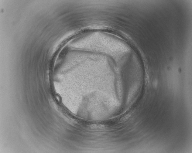 X0000051880535200507151915