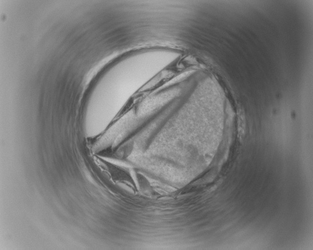 X0000051880536200507151915