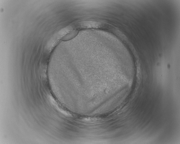 X0000051880537200507151915