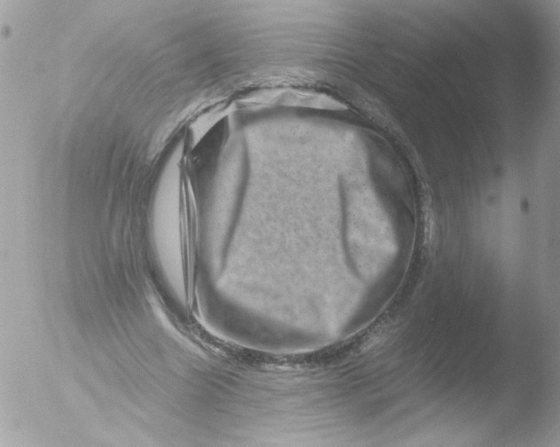 X0000051880538200507151915