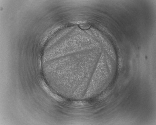 X0000051880541200507151915