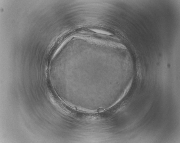 X0000051880542200507151915