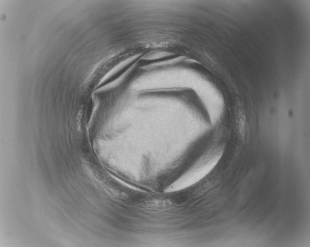 X0000051880543200507151915