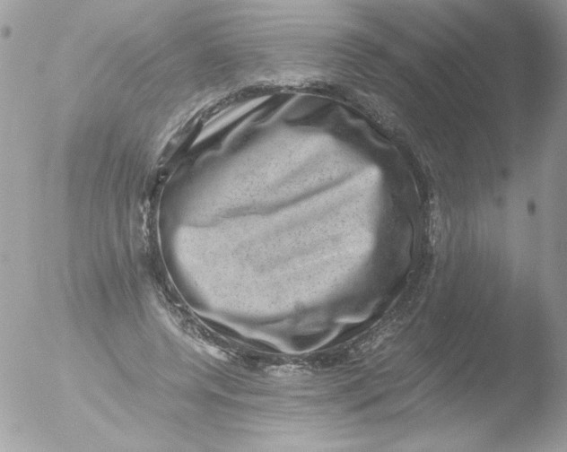 X0000051880544200507151915