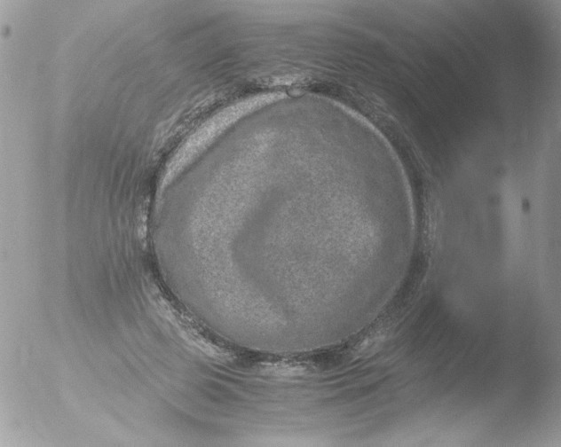 X0000051880545200507151915