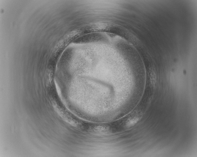 X0000051880546200507151915