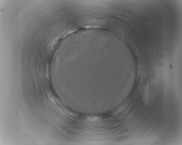 X0000051880547200507151915