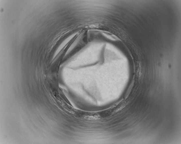 X0000051880548200507151915