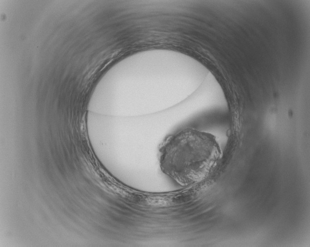 X0000051880549200507151915