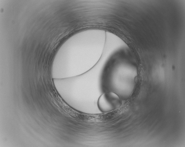 X0000051880550200507151915