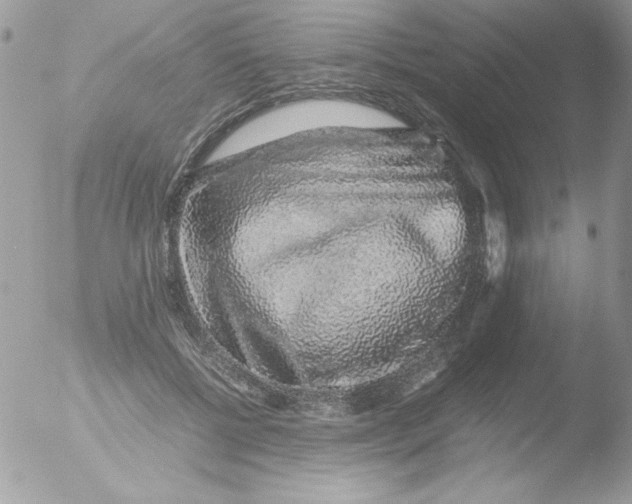 X0000051880552200507151915