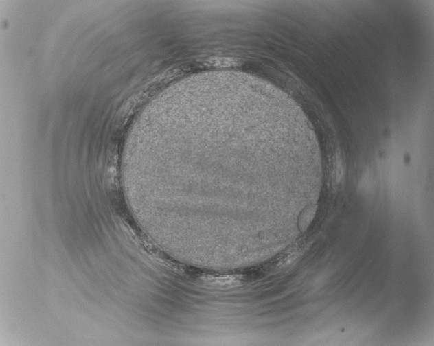 X0000051880553200507151915