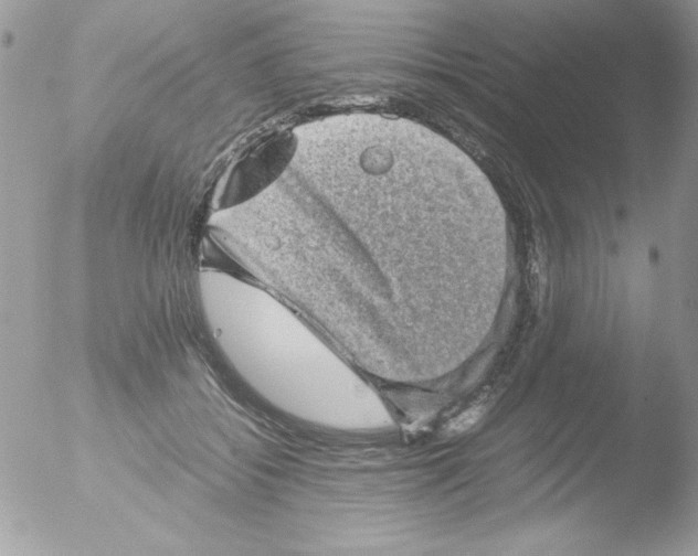 X0000051880556200507151915