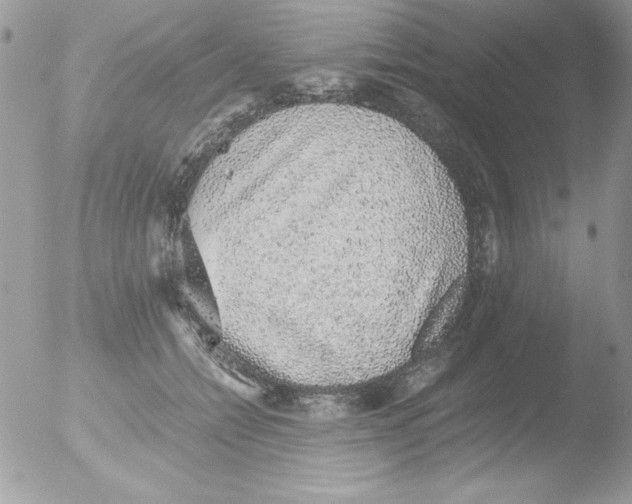 X0000051880558200507151915