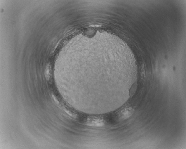 X0000051880559200507151915