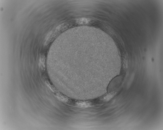 X0000051880561200507151915