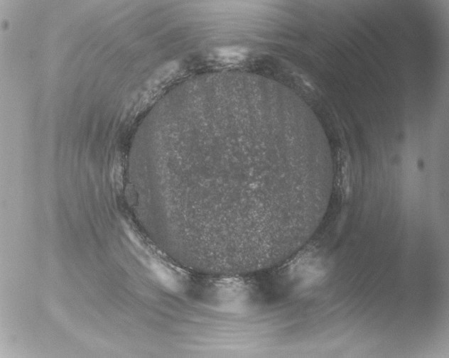 X0000051880562200507151915