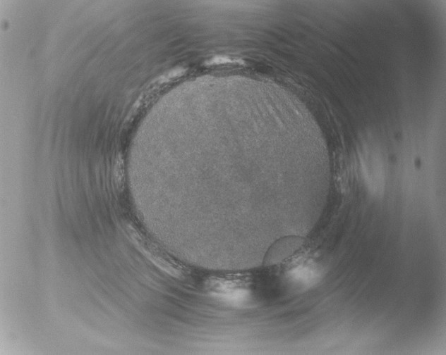 X0000051880563200507151915