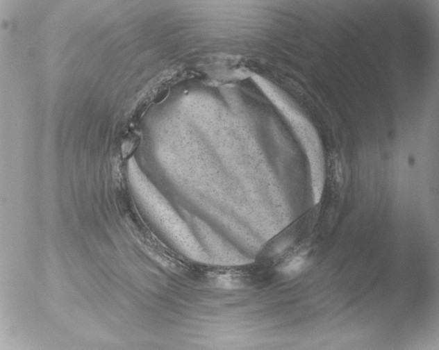 X0000051880564200507151915