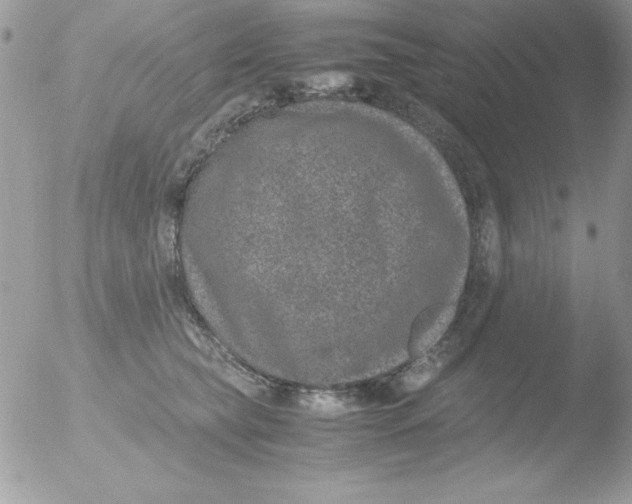 X0000051880565200507151915