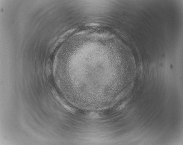 X0000051880566200507151915