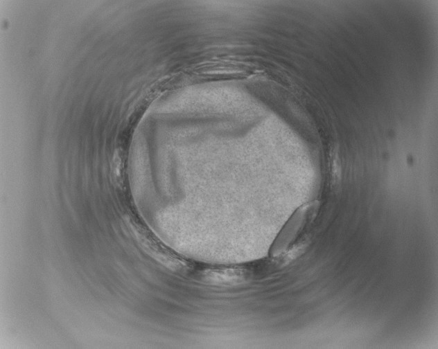 X0000051880567200507151915