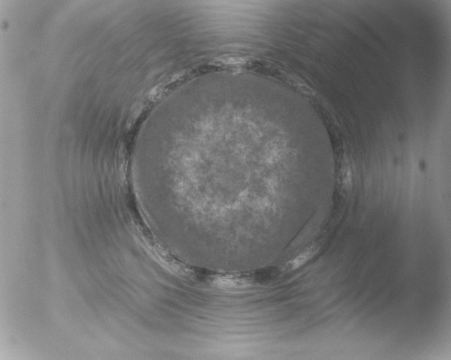 X0000051880568200507151915