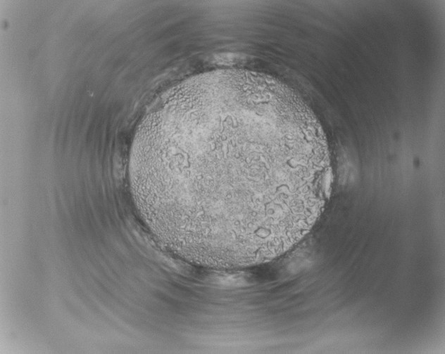 X0000051880569200507151915