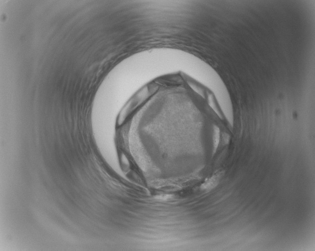 X0000051880570200507151915