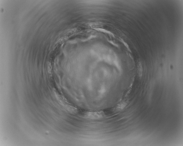 X0000051880571200507151915