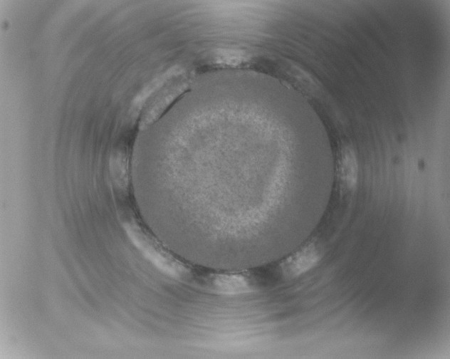 X0000051880572200507151915