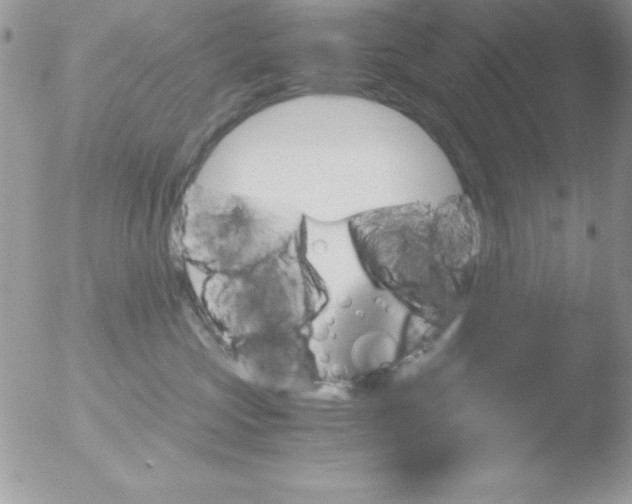 X0000051880573200507151915