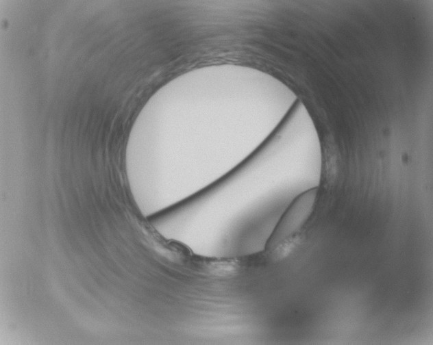 X0000051880574200507151915