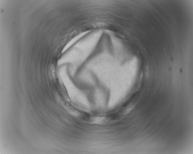 X0000051880575200507151915