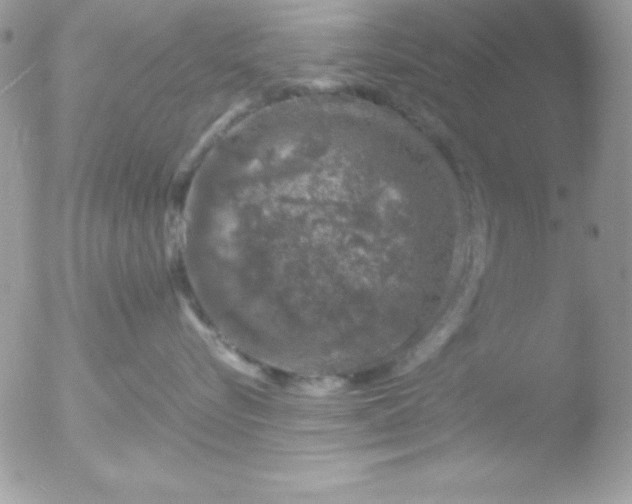 X0000051880576200507151915