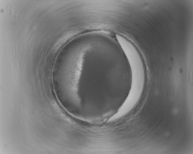 X0000051880577200507151915