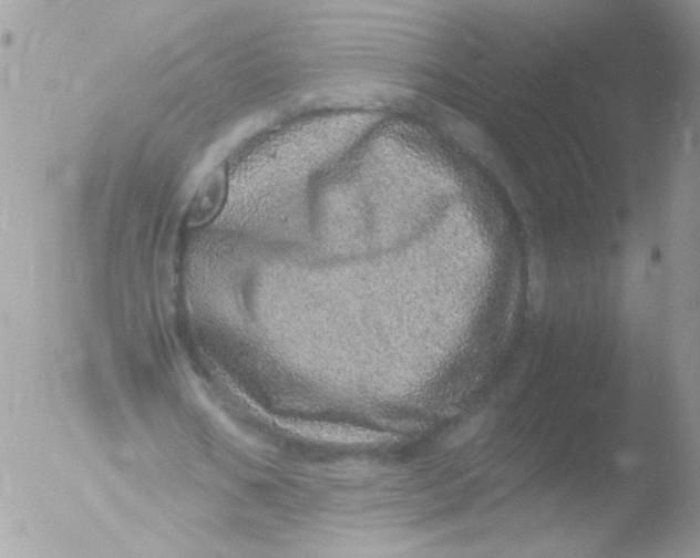 X0000051880578200507151915