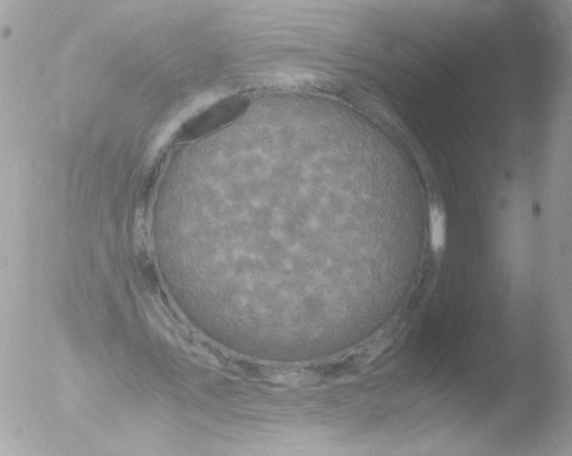 X0000051880579200507151915