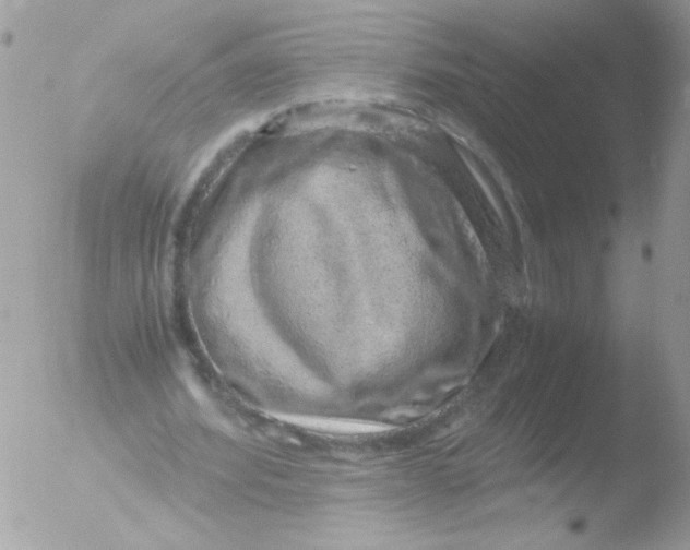 X0000051880580200507151915