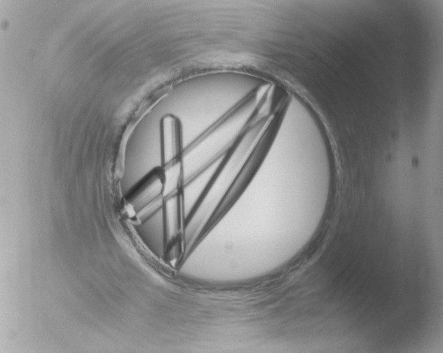 X0000051880581200507151915