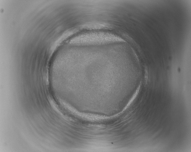 X0000051880582200507151915